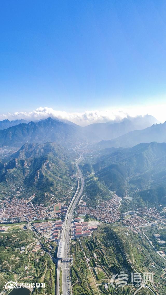 山東出臺跨境電商躍升發(fā)展行動計劃 青島邁向貿(mào)易強市再添新動力