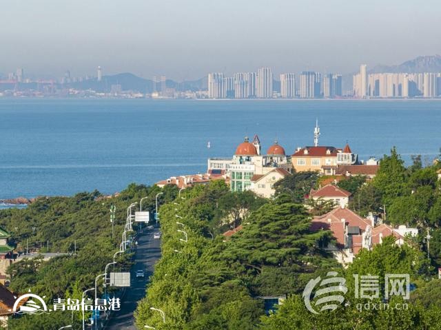 瞄準企業(yè)發(fā)展痛點難點 青島打造全市服務(wù)企業(yè)統(tǒng)一平臺