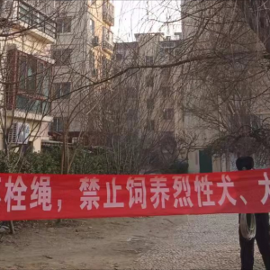 牽好“安全繩”！李園街道綜合行政執(zhí)法中隊持續(xù)開展文明養(yǎng)犬專項整治行動 ...