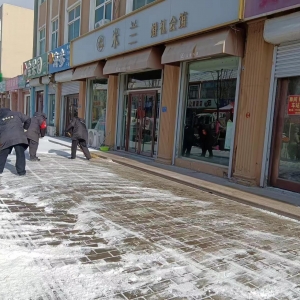 南村執(zhí)法中隊清掃積雪在行動！