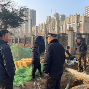 毀綠行為不可取，綜合執(zhí)法護(hù)綠色