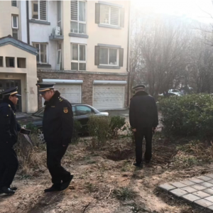 平度市東閣街道執(zhí)法中隊集中整治占綠毀綠，營造整潔、美好的人居環(huán)境 ...