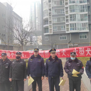 李園街道綜合行政執(zhí)法中隊：加強犬只管理，營造和諧氛圍
