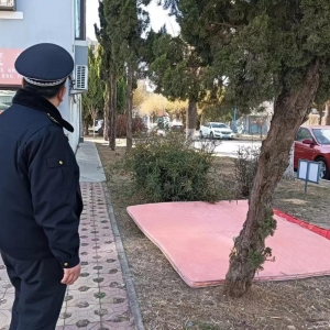 平度市東閣街道執(zhí)法中隊(duì)整治占綠毀綠，守護(hù)美好家園