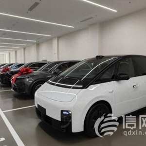 理想MEGA遭惡意調侃銷量不佳？銷售：每天都有車主提車