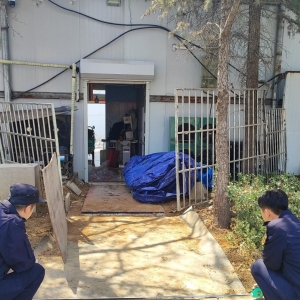 平度市東閣街道執(zhí)法中隊(duì)：隨意損壞植被，罰