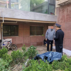 查處毀綠行為，還居民美好家園