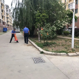 守護(hù)園林綠化：同和執(zhí)法中隊(duì)在行動