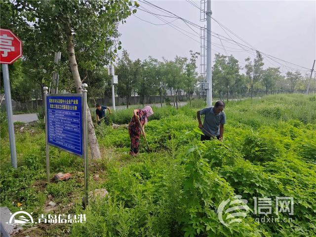 青島市首個(gè)以工代賑中央預(yù)算內(nèi)投資項(xiàng)目正式開(kāi)工