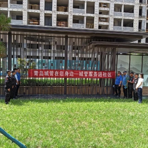 積極開(kāi)展文明養(yǎng)犬執(zhí)法行動(dòng)，共建和諧社區(qū)