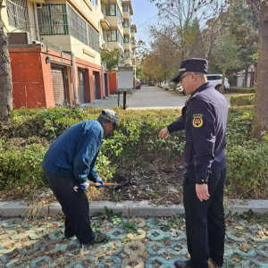 整治擅自破壞綠化行為，共建綠色家園