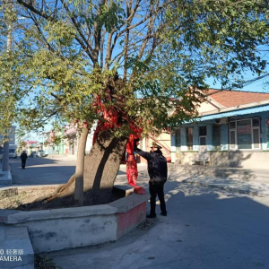 注入“信”能量—強化保護古樹名木意識 ?賡續(xù)中華文脈