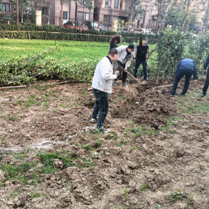 整治小區(qū)侵占公共綠地行為 共護和諧宜居家園