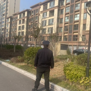 平度市東閣街道執(zhí)法中隊緊盯群眾“急難愁盼”，集中整治占綠毀綠 ...
