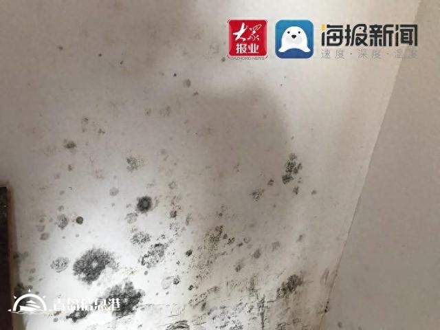 插座漏水墻皮脫落，領(lǐng)秀珊瑚灣新房質(zhì)量堪憂