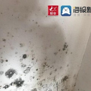 插座漏水墻皮脫落，領(lǐng)秀珊瑚灣新房質(zhì)量堪憂