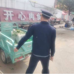 云山中隊黨支部：冬季出擊，筑牢戶外廣告設(shè)施 “安全墻”