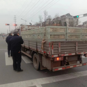 李園街道綜合行政執(zhí)法中隊組織開展動物調運執(zhí)法檢查行動