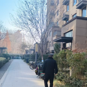 平度市東閣街道執(zhí)法中隊嚴(yán)打占綠毀綠，共建綠色家園