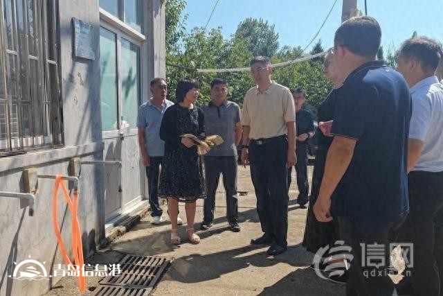 破解農村供水“痛點” 青島市政協(xié)委員支招助力供水管網漏損治理