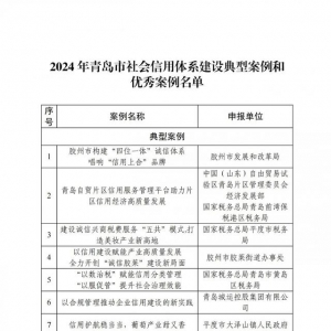 青島市2024年社會信用體系建設典型案例和優(yōu)秀案例名單揭曉