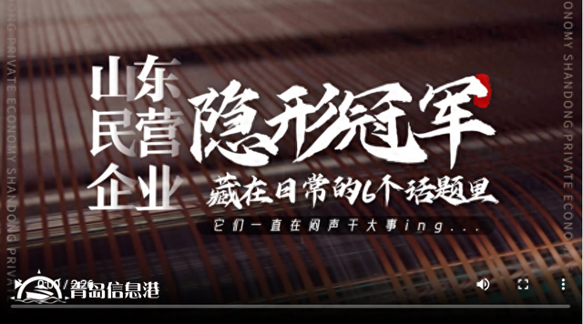 這些“隱形大佬”都是山東民營(yíng)企業(yè)
