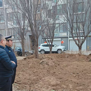 平度市東閣街道執(zhí)法中隊(duì)“信用+”整治占綠毀綠，守護(hù)綠色家園 ...