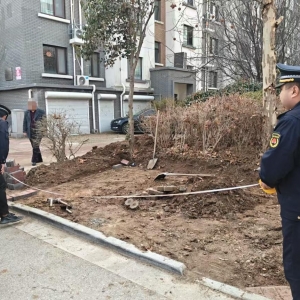平度市東閣街道執(zhí)法中隊整治占綠毀綠，筑牢城市生態(tài)屏障
