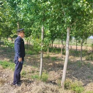 同和中隊(duì)：守護(hù)城市綠脈，繪就生態(tài)新圖