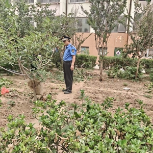 平度市東閣街道執(zhí)法中隊“信用+”整治占綠毀綠，守護公共綠地 ...