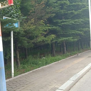 同和中隊(duì)：清除城市“牛皮癬”，小廣告執(zhí)法巡查記