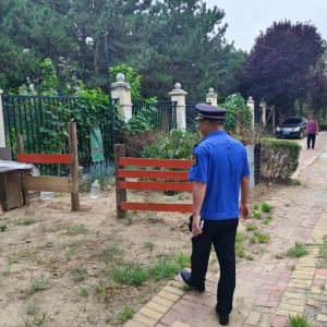 平度市東閣街道執(zhí)法中隊(duì)“信用+”聚焦占綠毀綠，全鏈條守護(hù)城市綠地 ...