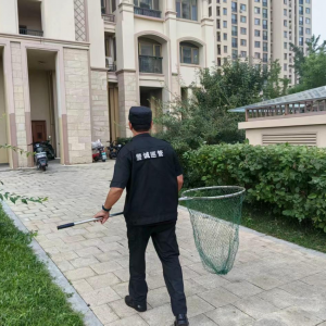 鳳臺(tái)執(zhí)法中隊(duì)：整治流浪犬 筑牢安全防線(xiàn)
